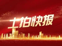 毫无悬念！翔栩地产拿下普宁大道两地块！打造约300亩大盘！