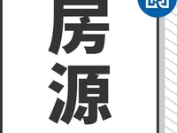 【甄选房源】300㎡顶层复式豪宅，五房二厅仅售338万