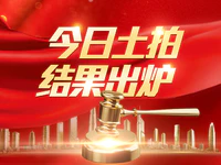 57亩！1.91亿元成交！2019年普宁首宗宅地今成功出让！