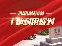 成果公示 | 普宁市洪阳镇岐岗村的土地将这样规划！