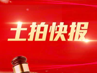 一夜回到“创文”前，垃圾围城，谁之责？