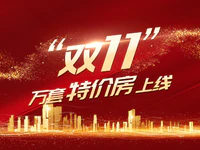 “双11”剁手买房！阿里京东进军房地产，万套房源特价卖！