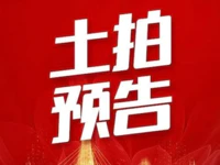 起拍价1040万！普宁挂牌出让一宗45.6亩地块！