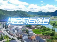 全国第12 广东第2 | 普宁市强势上榜淘宝村百强县名单！