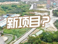 网友爆料！东部新城又一项目或将启动？道路已修建完成！