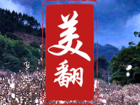 简直美翻了！普宁人霸屏2019年梅花旅游文化节推介片！