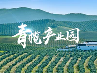 普宁市青榄产业园将申报2019年省级现代农业产业园！